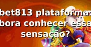 bet813 plataforma: bora conhecer essa sensação? 🎰